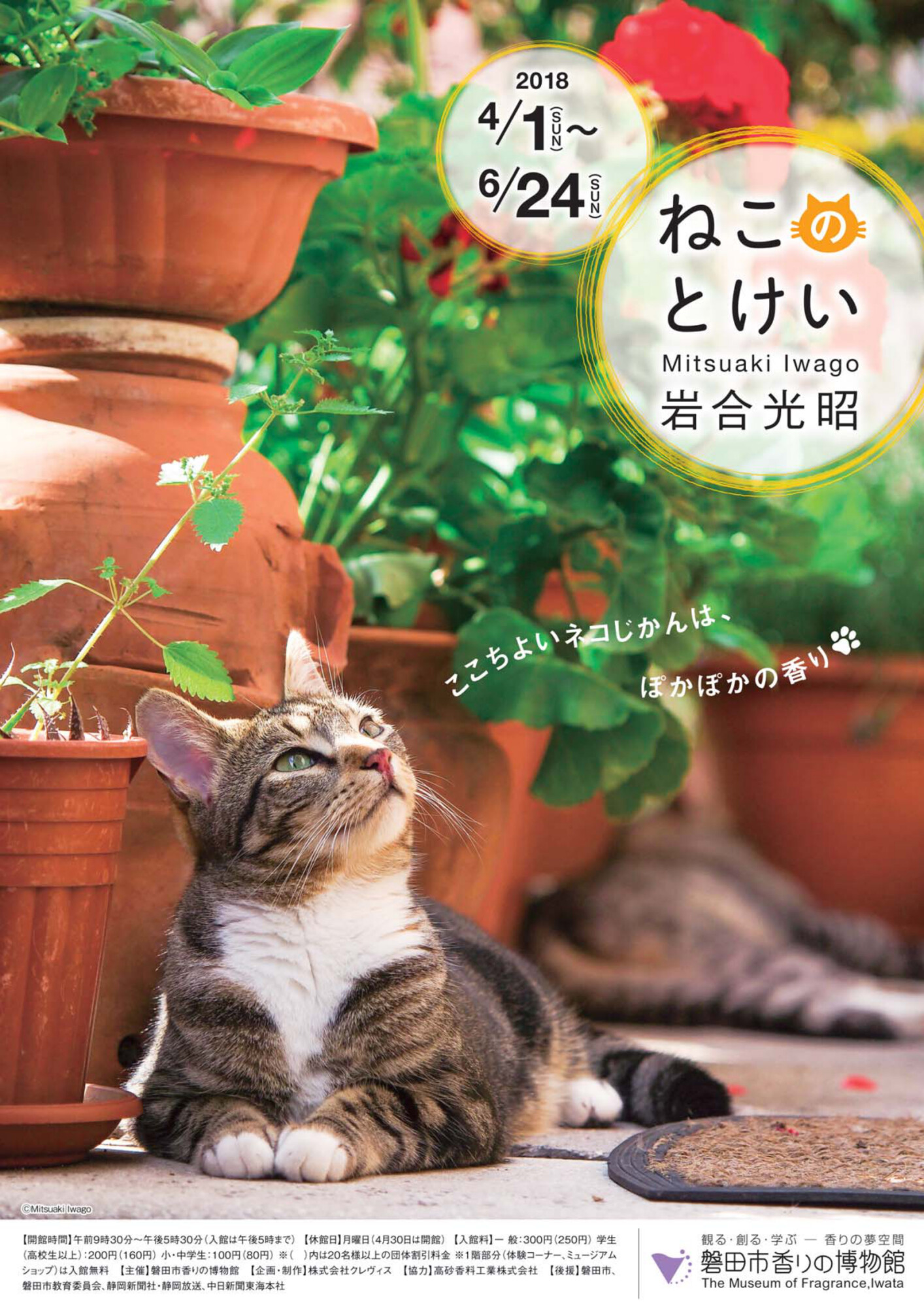 岩合光昭写真展　ねこのとけい